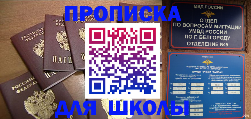 прописка гарантия в Лузе